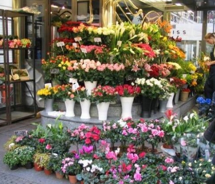 Бизнес-план цветочного магазина особенности