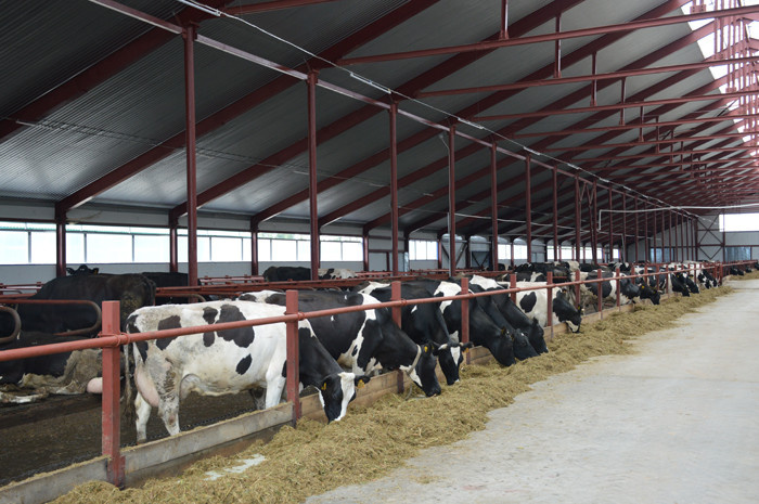 Производственный план молочно-товарной фермы