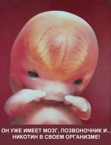 фото эмбрион и никотин