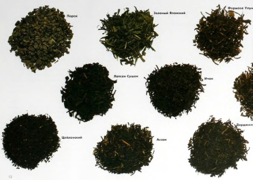 Классификация сортов чая