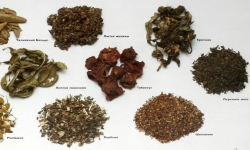 Классификация трав из которых готовят травяные чаи