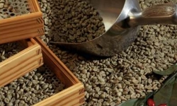 Классификация кофе и кофейных напитков
