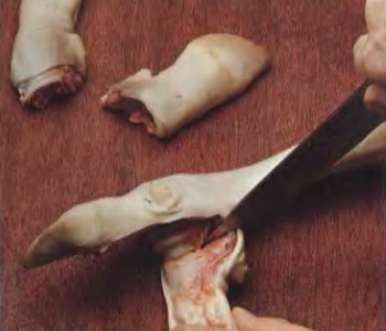 Подготовка телячьих ножек и шкурки