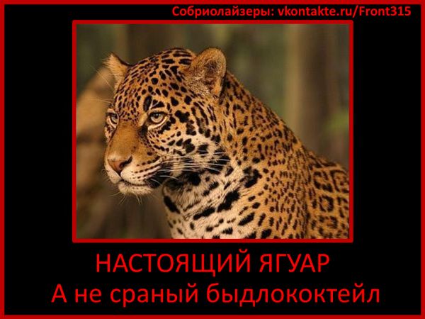Вред напитка ягуар